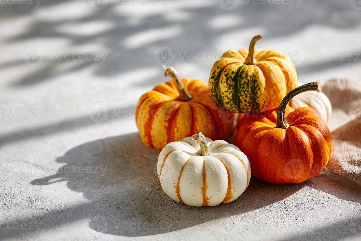 tempting pumpkin in the sunny corner on a cream background, in a clean food photography style photo