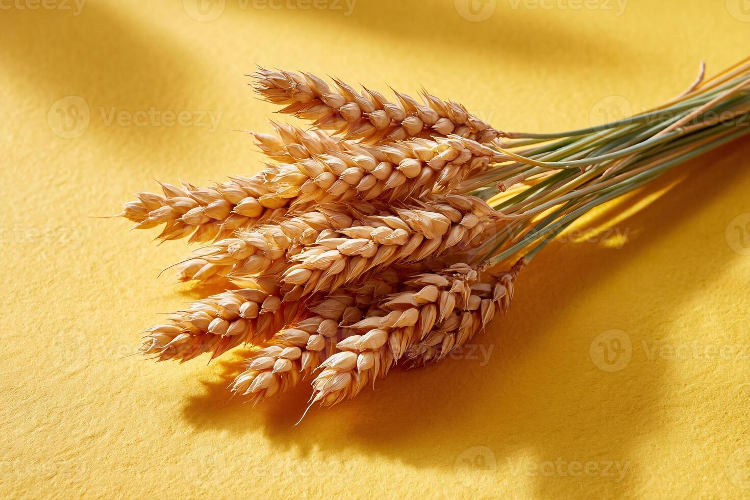 tempting wheat in the sunny corner on a pastel yellow background, in a clean food photography style photo