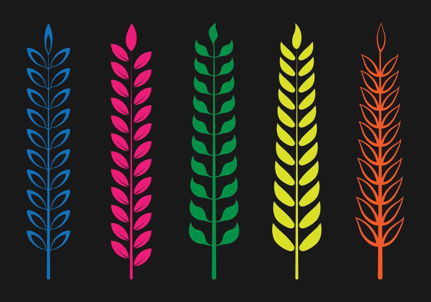colorful leaf and branch on black background vector