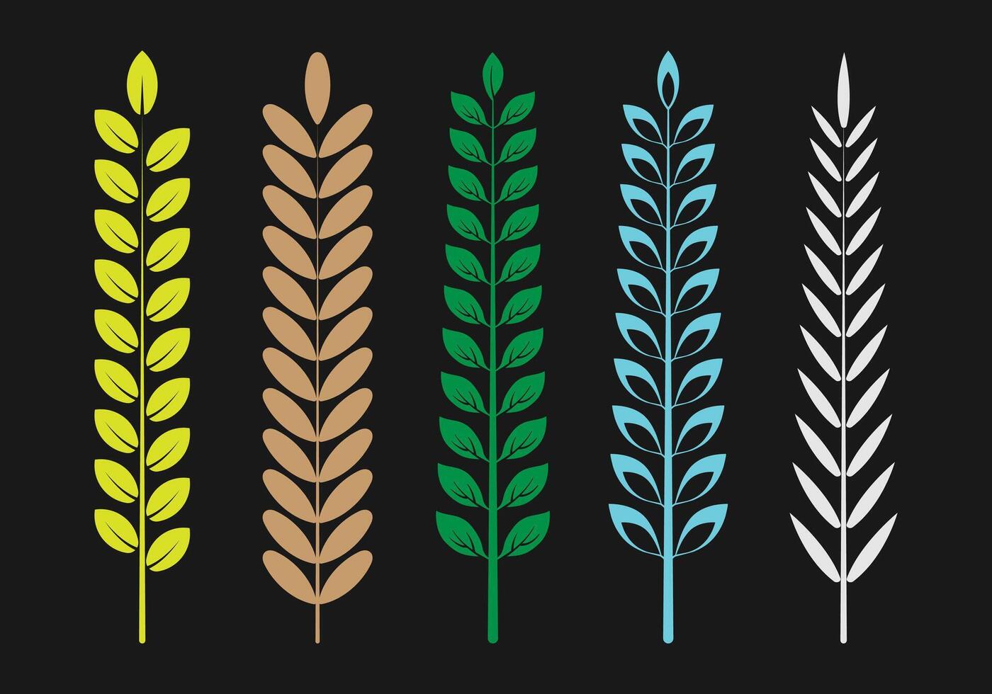 beautiful leaf set vector