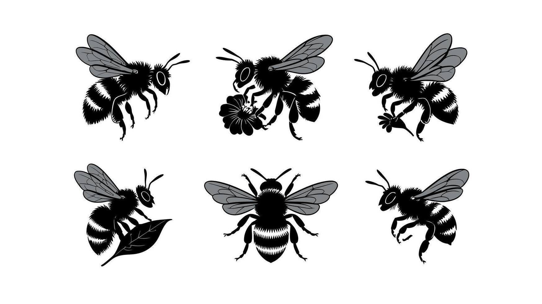 bee silhouette set of four different bees, black and white vector