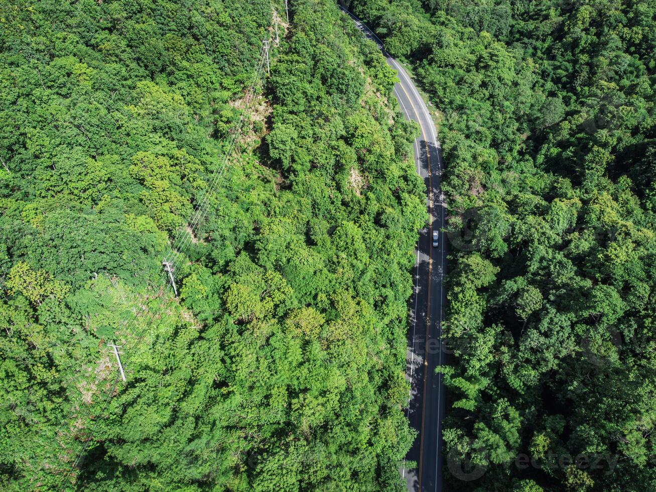 An aerial view of a winding road in the middle of a forest photo