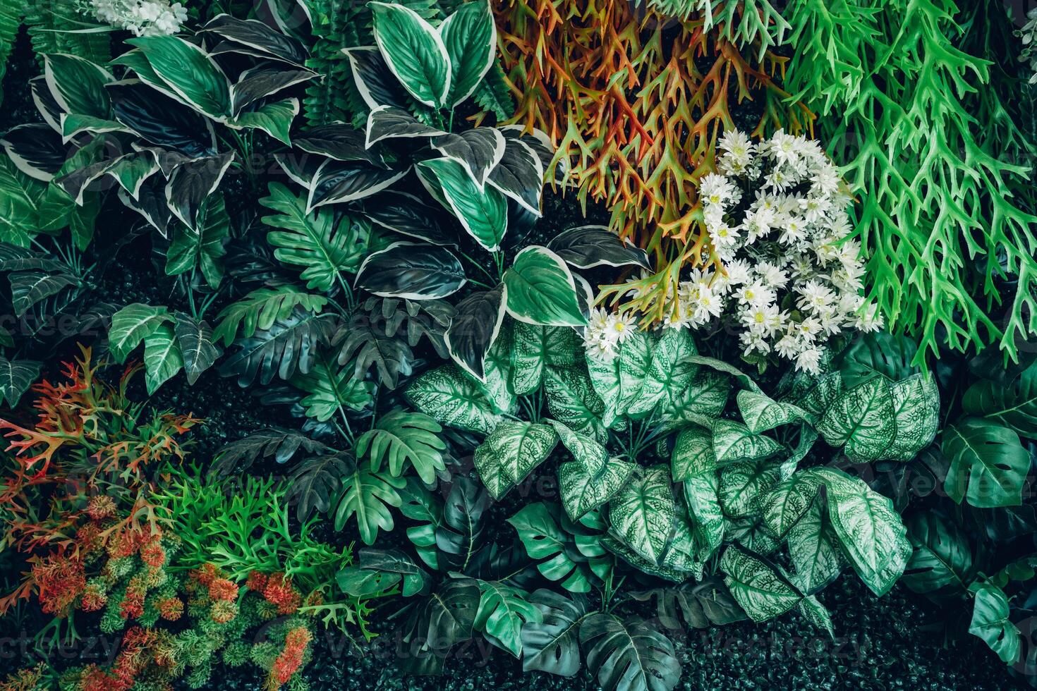 A wall with many different plants and flowers photo
