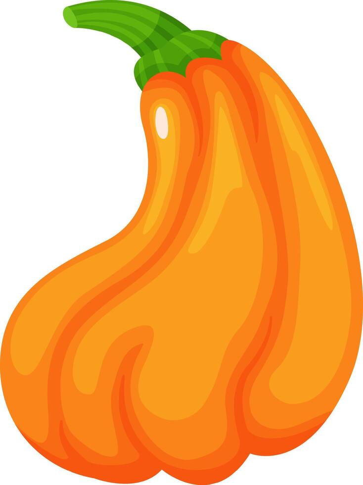 Cartoon illustration of a ripe orange pumpkin with a green stem, isolated on a white background, perfect for autumnal designs and Thanksgiving projects vector