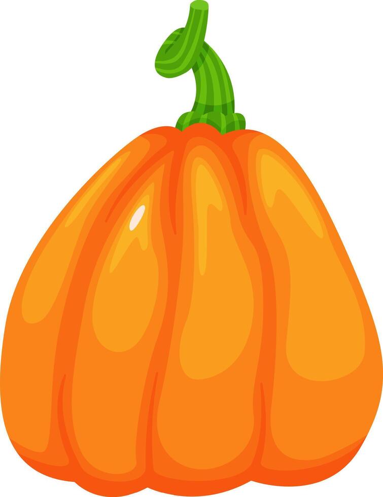 Vibrant pumpkin with a curly green stem symbolizes the abundance of autumn harvest, evoking feelings of warmth, festive celebrations, and the rich flavors of the season vector