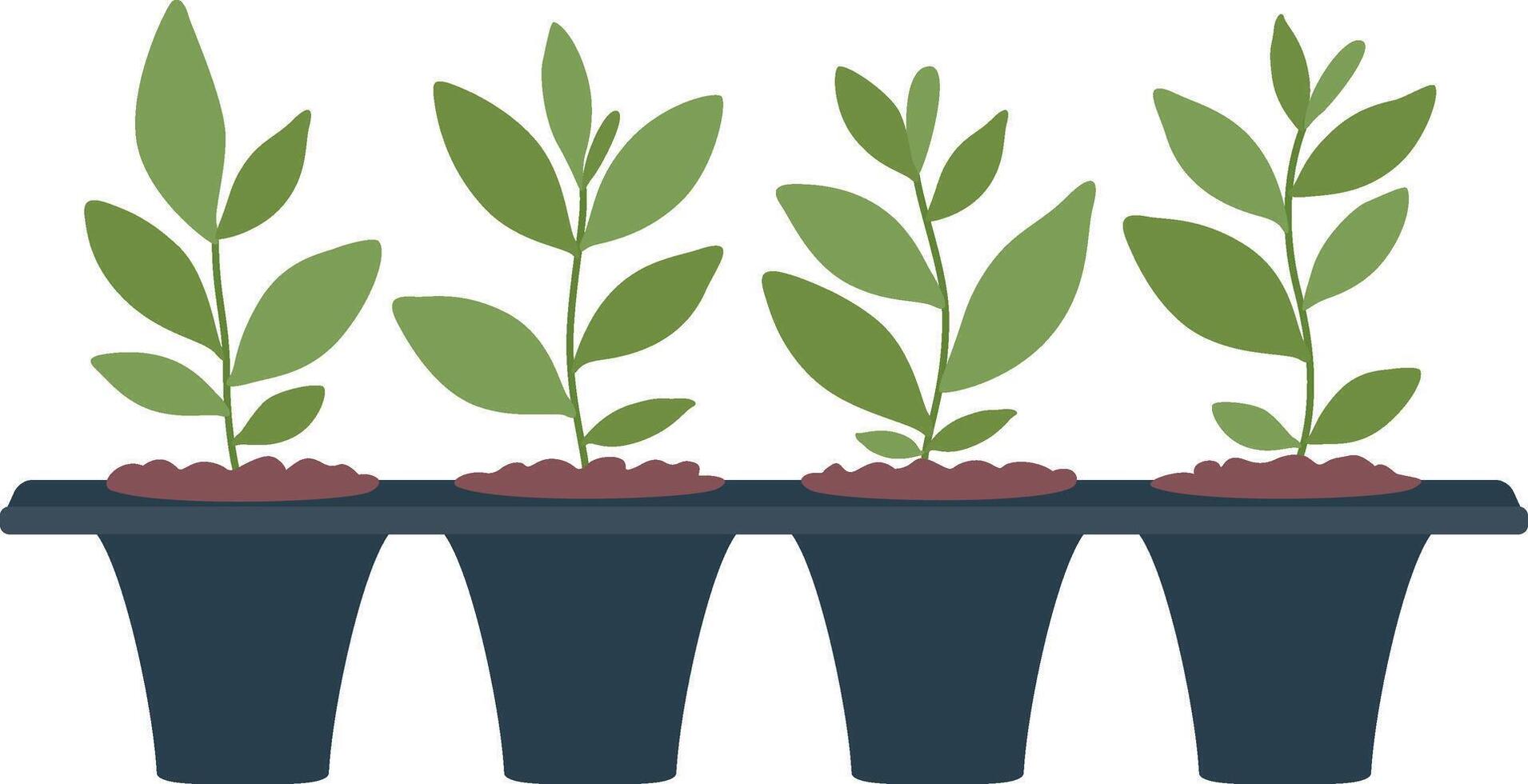 Four small plants thriving in dark pots, connected by a tray, embodying the essence of home gardening, nurturing growth, and fostering a deep connection with nature vector