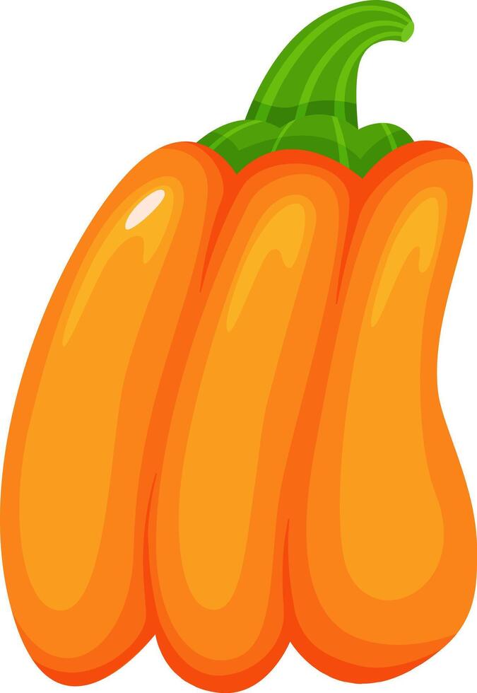 Cartoon illustration of a ripe orange bell pepper with a green stem, isolated on a white background, showcasing the vibrant colors and smooth texture of the vegetable vector