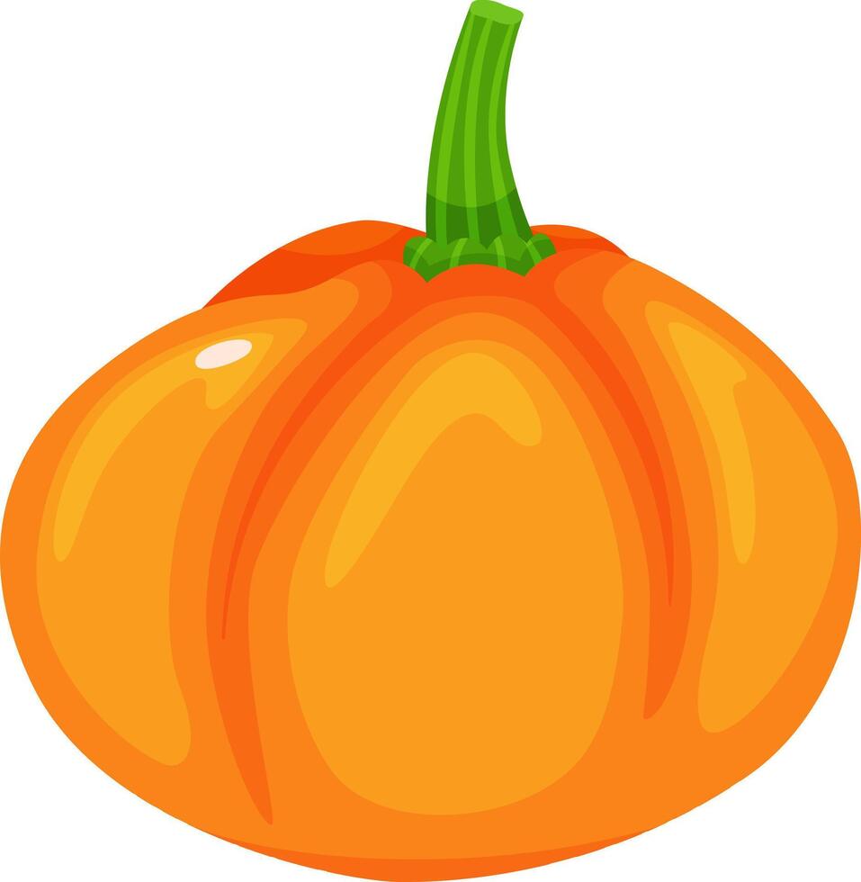 Vibrant orange pumpkin with a prominent green stem, displaying its characteristic lobes and ridges, perfect for autumnal decorations, culinary creations, or festive celebrations vector