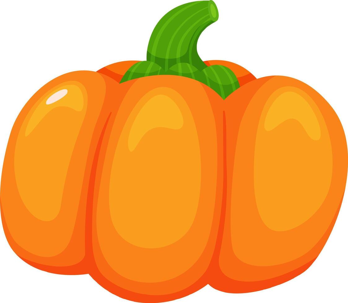 Cartoon illustration of a ripe pumpkin with a green stem, conveying a sense of health, freshness, and autumnal abundance, perfect for Thanksgiving or Halloween themes vector