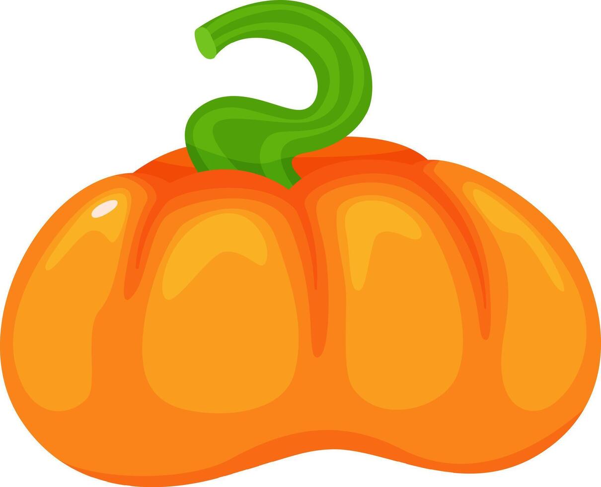 Vibrant orange pumpkin with a unique green curved stem, symbolizing the abundance and warmth of the fall harvest season, perfect for Thanksgiving and Halloween celebrations vector