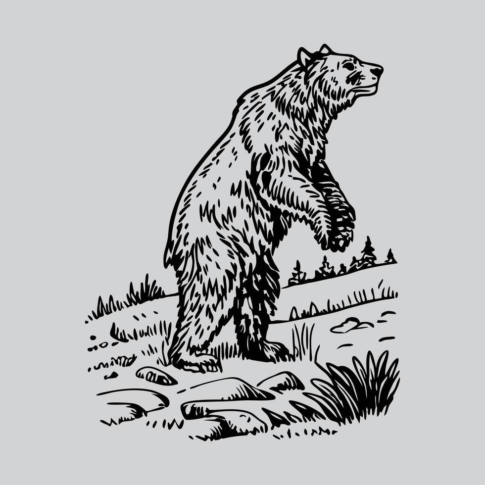 Standing Bear Illustration in Wilderness vector