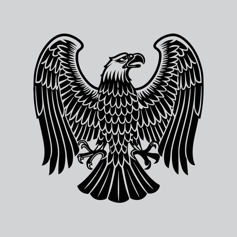 Detailed Eagle Feather Patterns vector