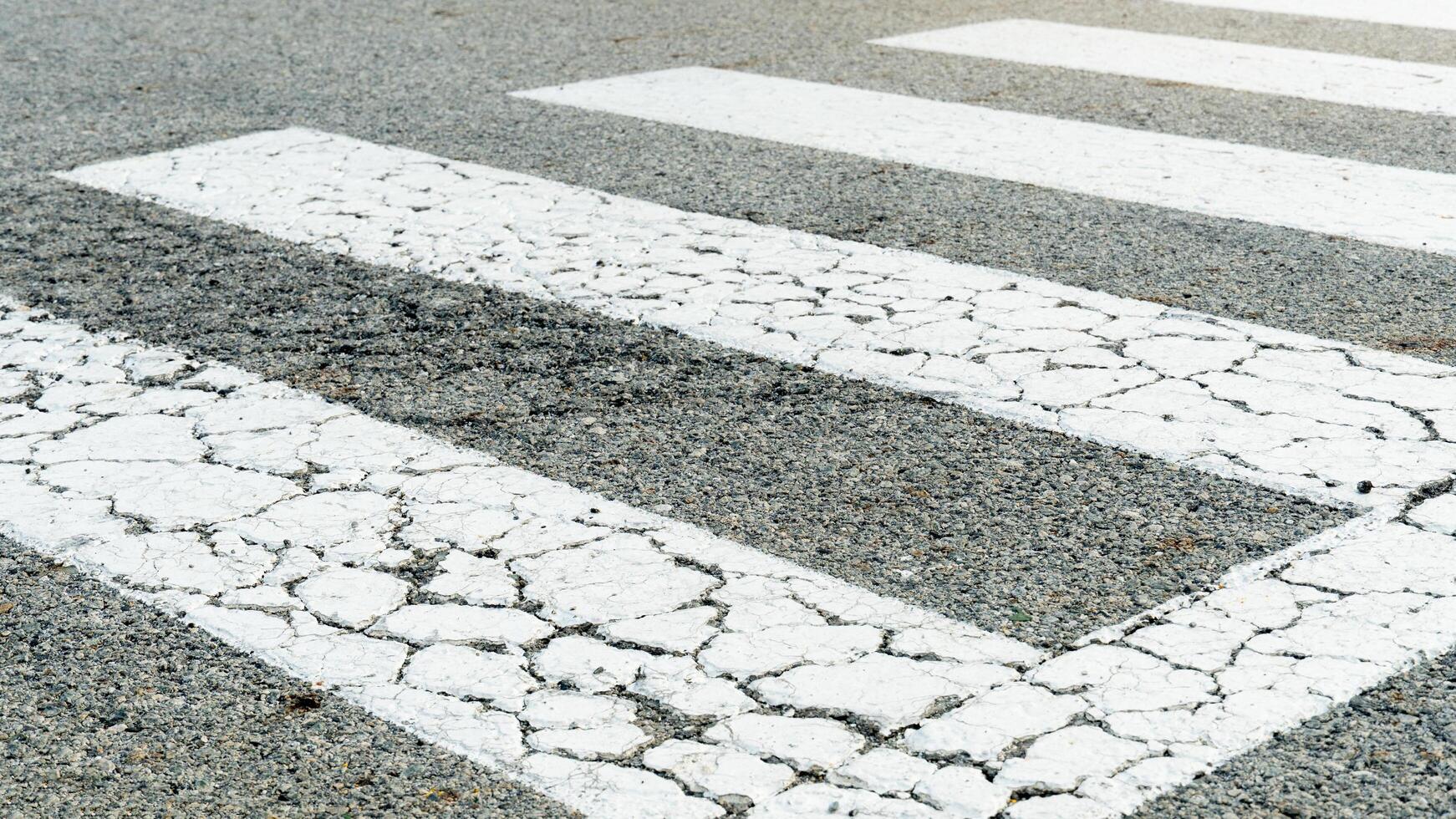 Color of zebra crossing or crosswalk for crossing the road is white. Asphalt road surface with cracks due to age. photo