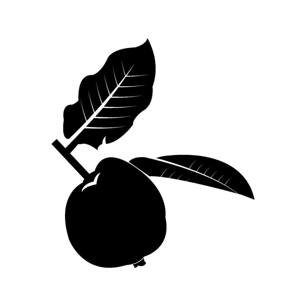 guava two leaves black background illustration vector