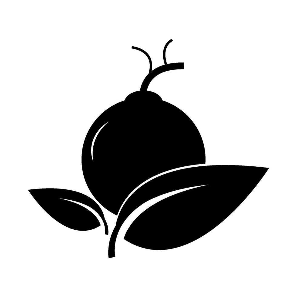 guava leaves black background illustration vector