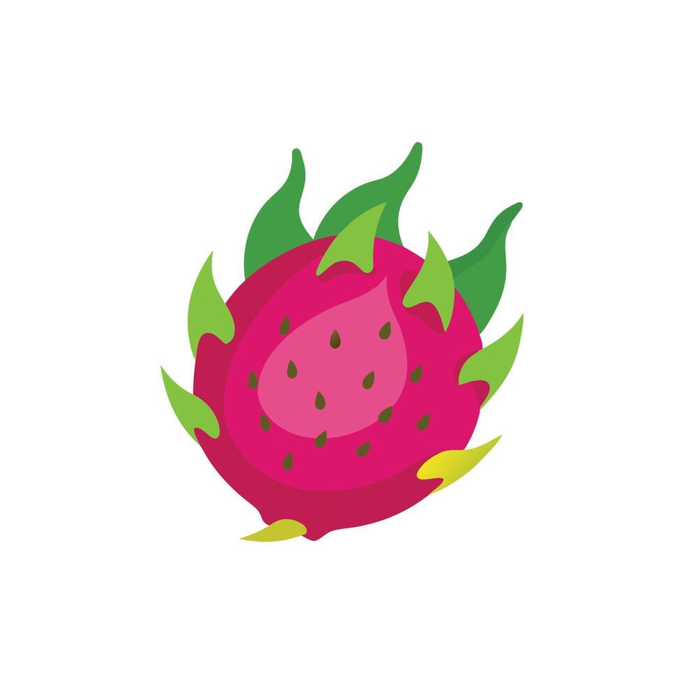 Dragon fruit flat illustration on white vector
