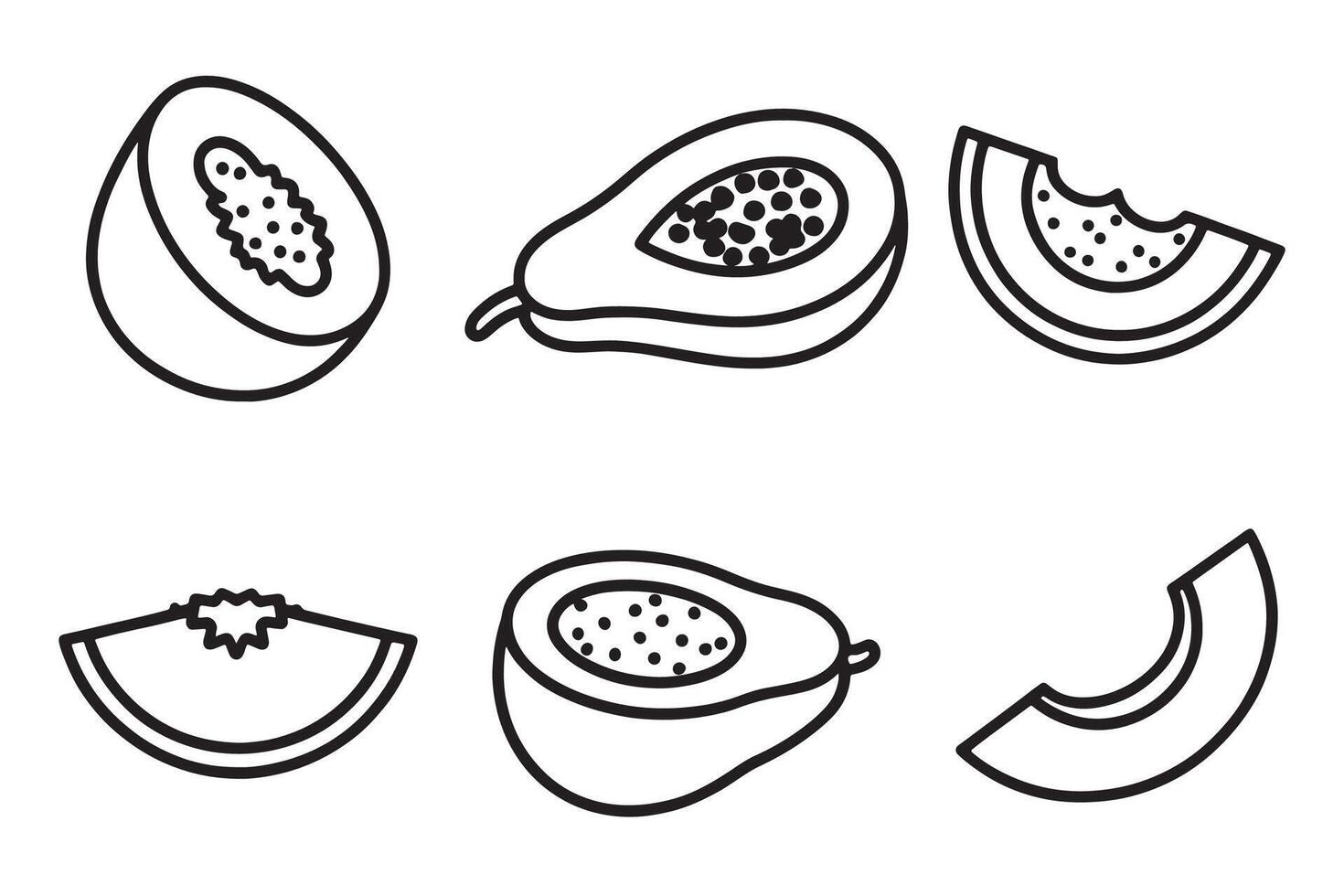 Papaya fruit line art set isolated flat illustration on white background. vector
