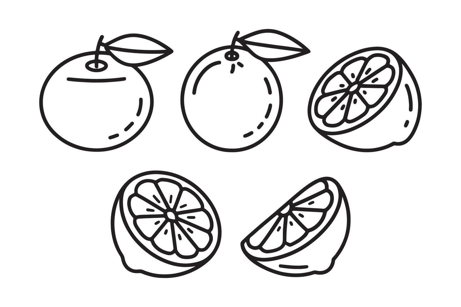 Minneola fruit line art set isolated flat illustration on white background vector