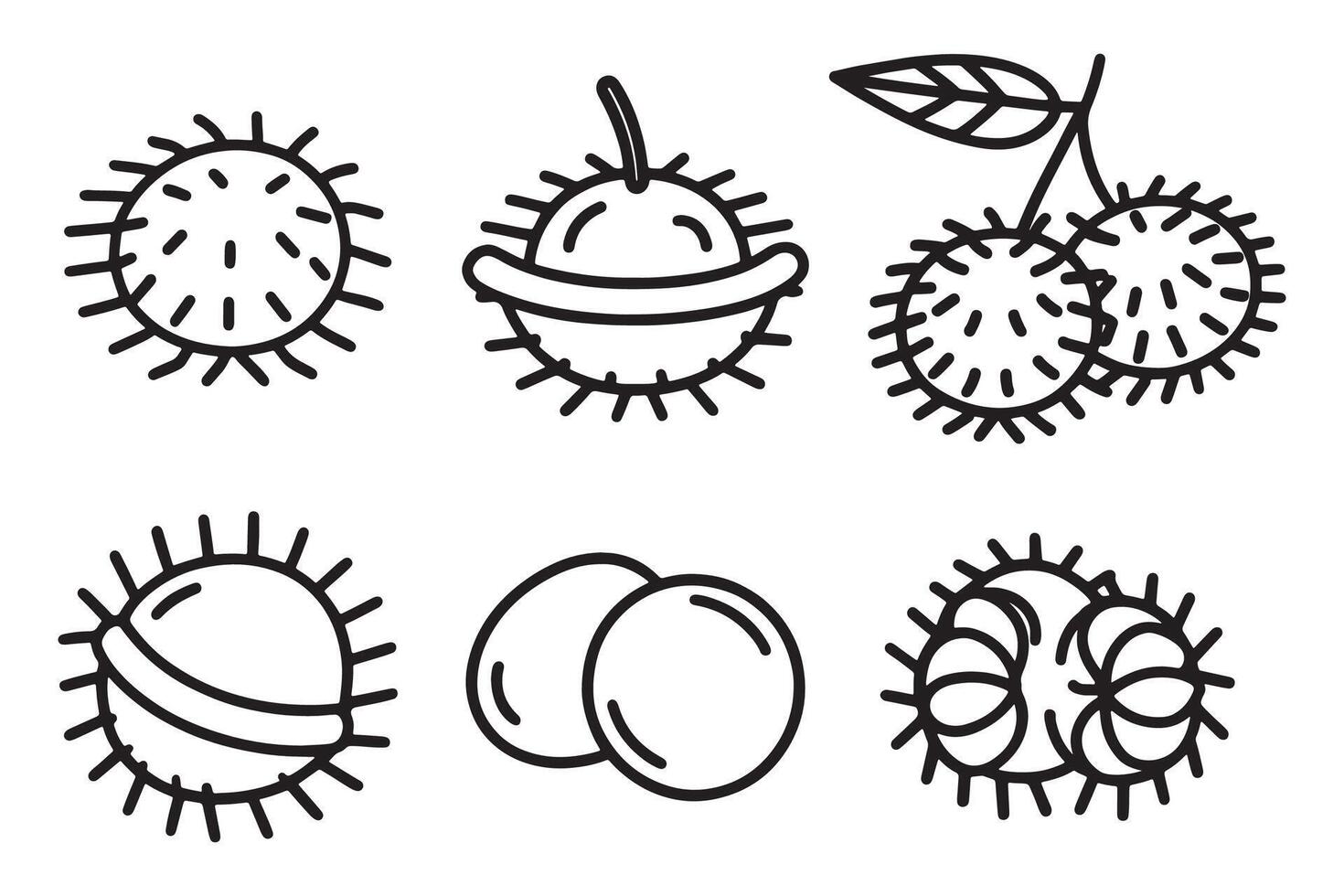 Rambutan fruit line art set isolated flat illustration on white background. vector