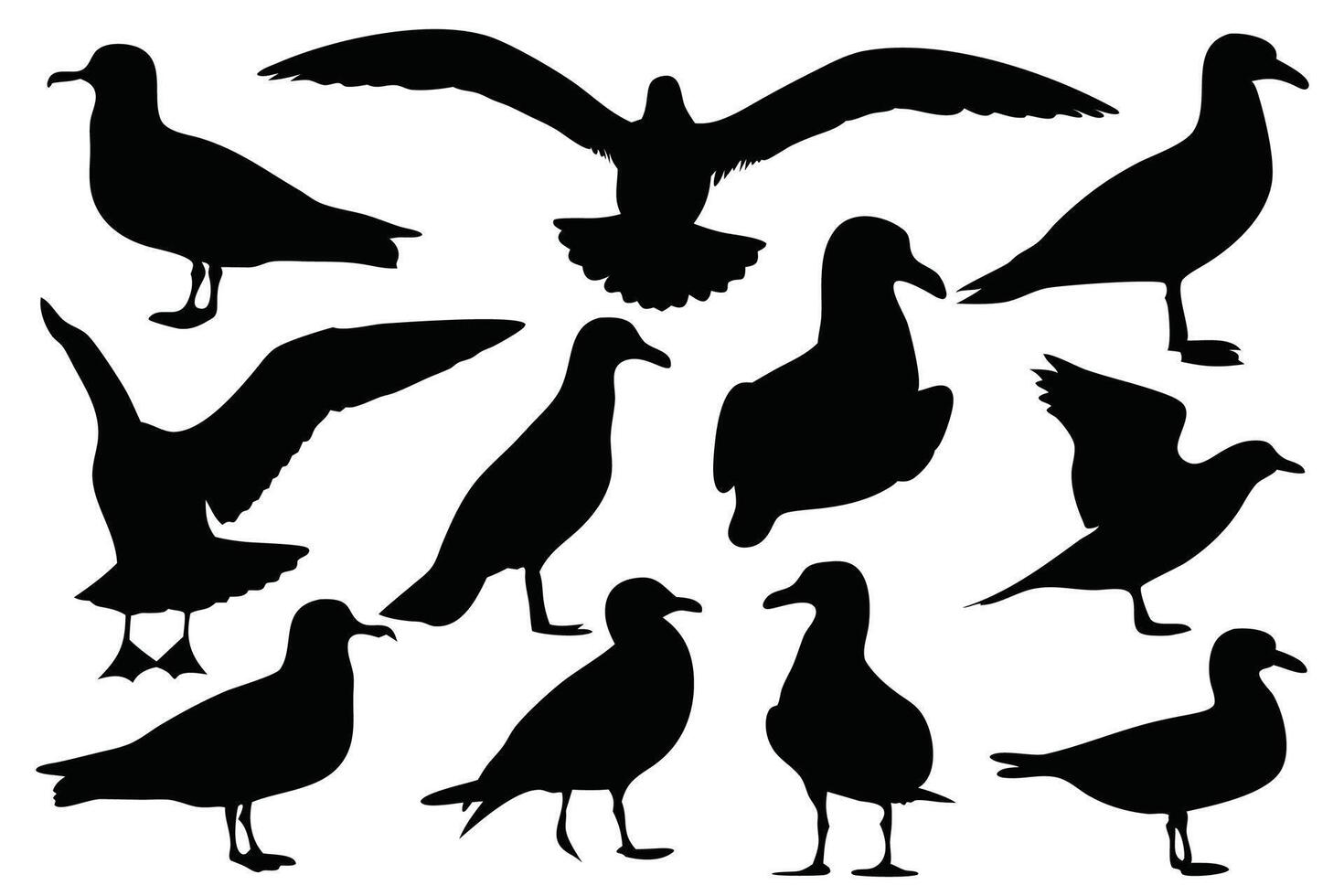 Seagulls bird silhouettes set isolated flat illustration on white background. vector