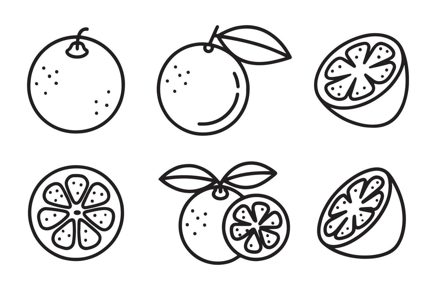 Kumquat Fruit line art set isolated flat illustration on white background. vector