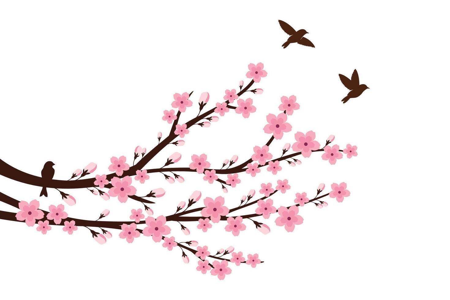 Sakura flower with bird design wall decoration vector