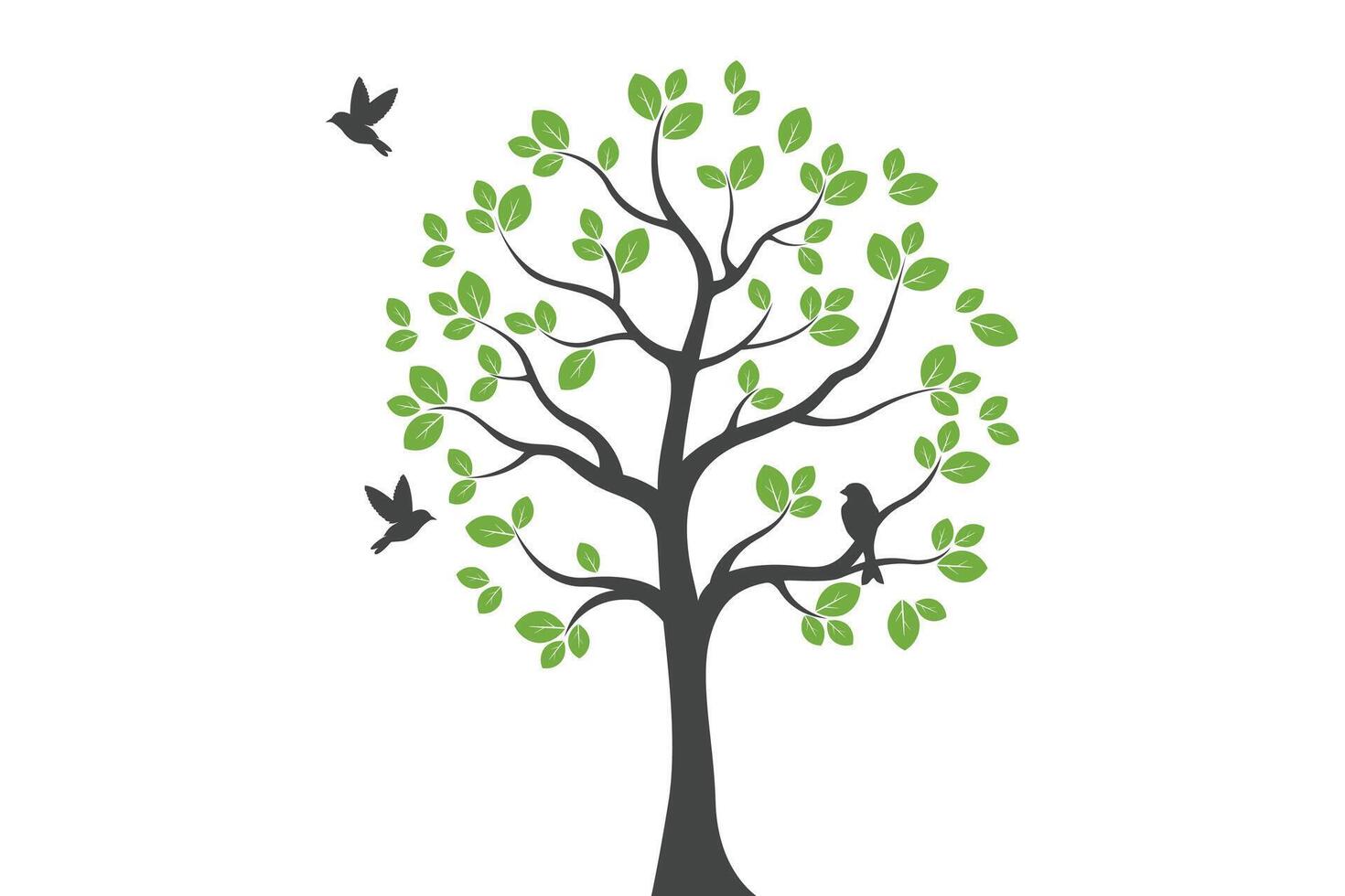 tree and birds design with green leaves vector