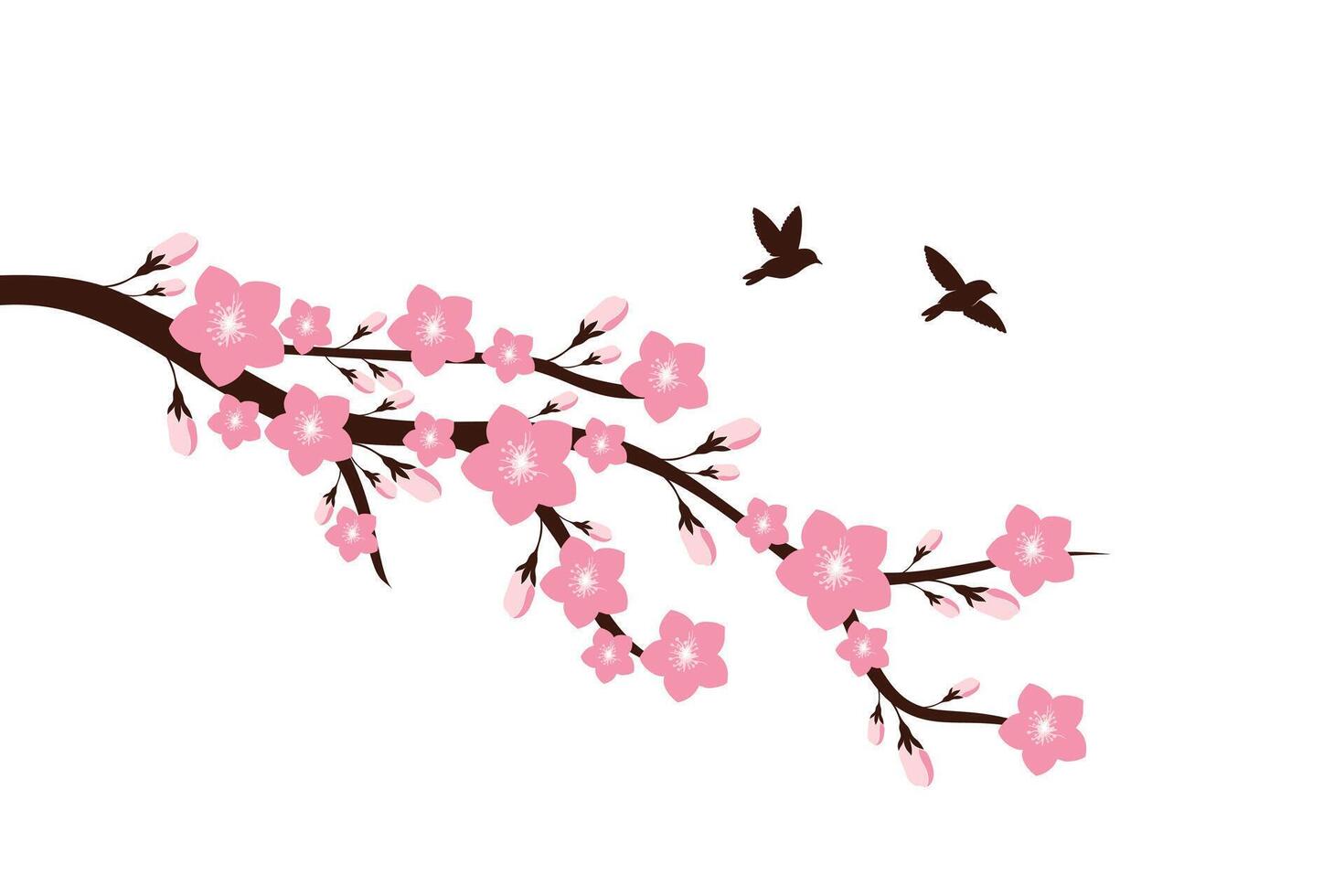 Sakura flower design with birds vector