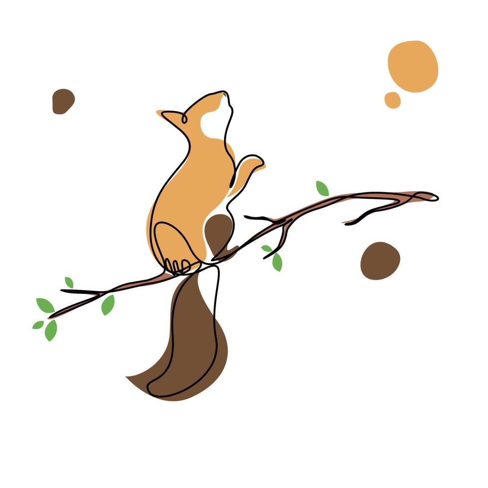 Squirrel picking nuts standing on a small branch, Squirrel illustration design. animal book cover design vector