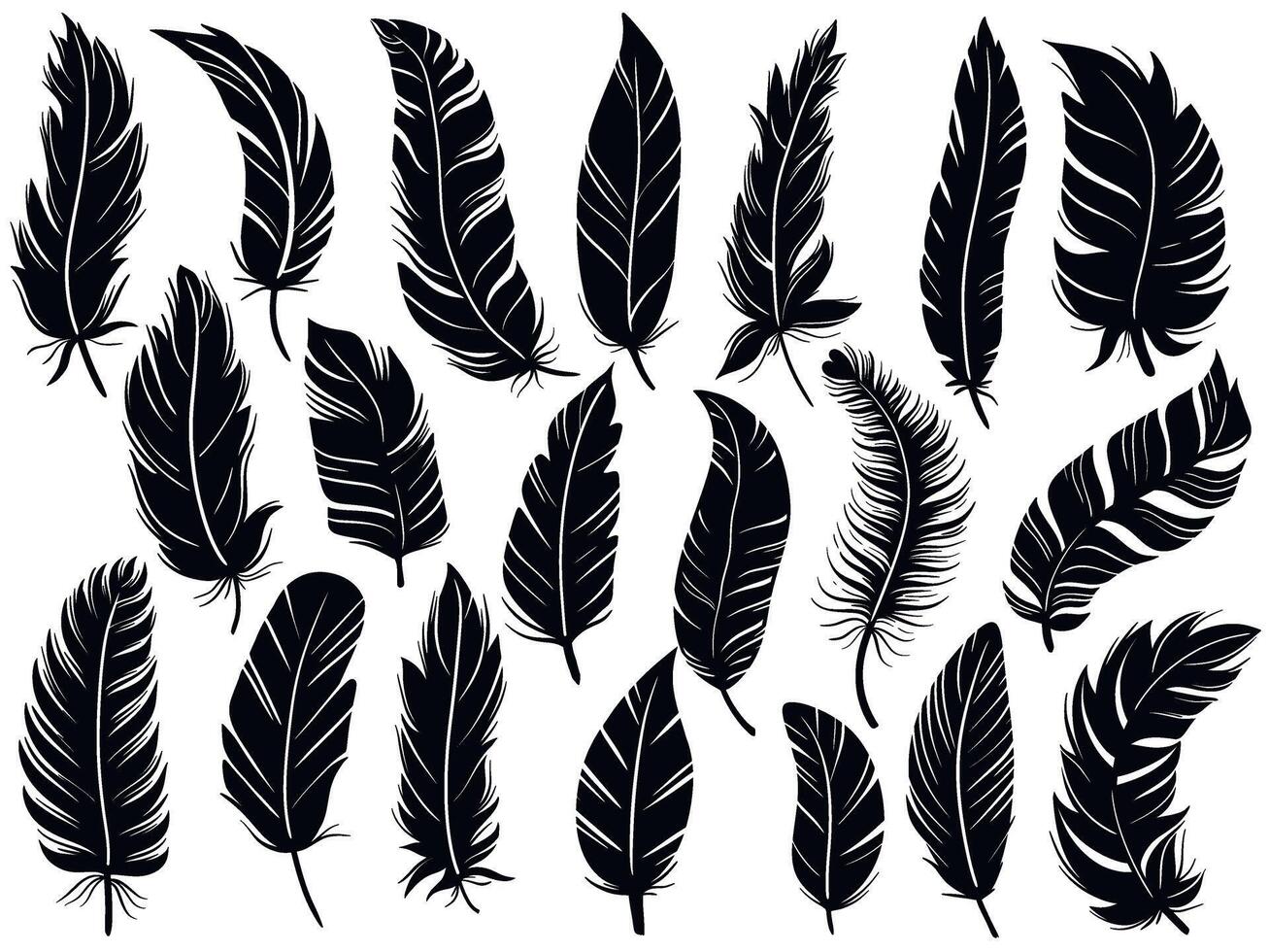 Graceful bird feathers black silhouette set vector