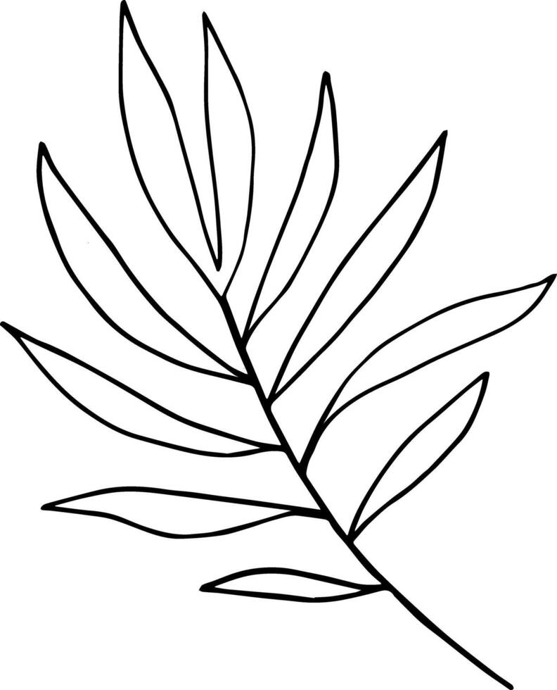 Line drawing of a palm leaf branch ink clipart vector