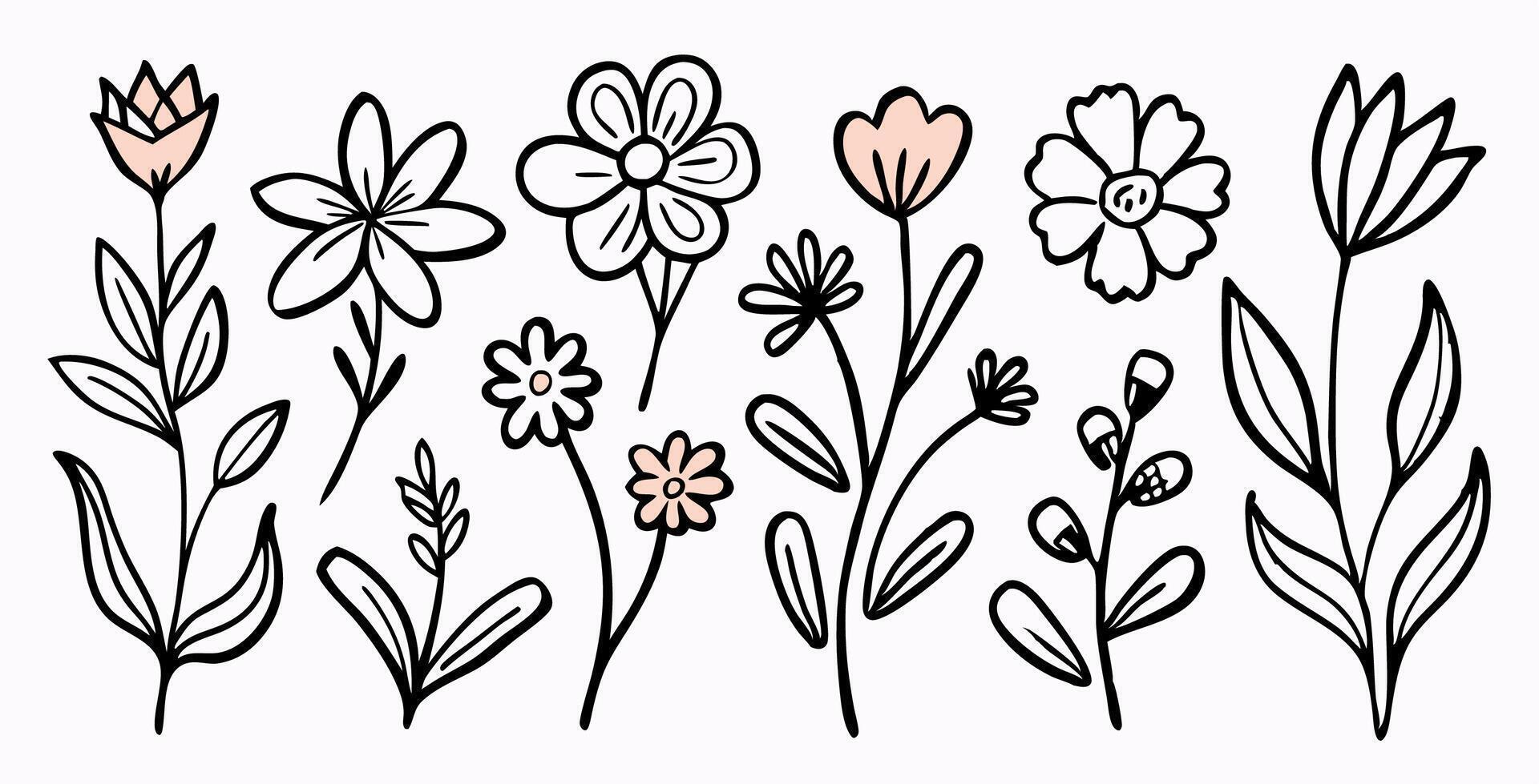 Hand Drawn Floral Elements Line Art Flowers and Botanical Illustrations vector