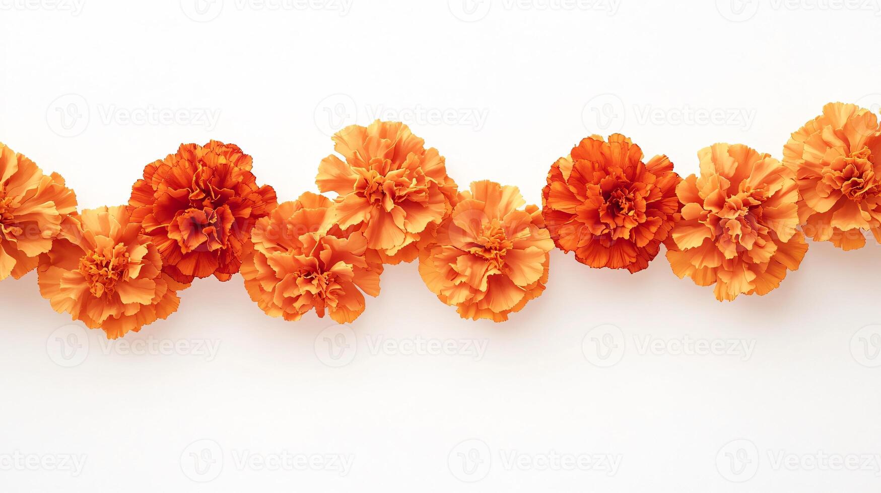 Vibrant Marigold Flower Garland Displayed Against White Background photo