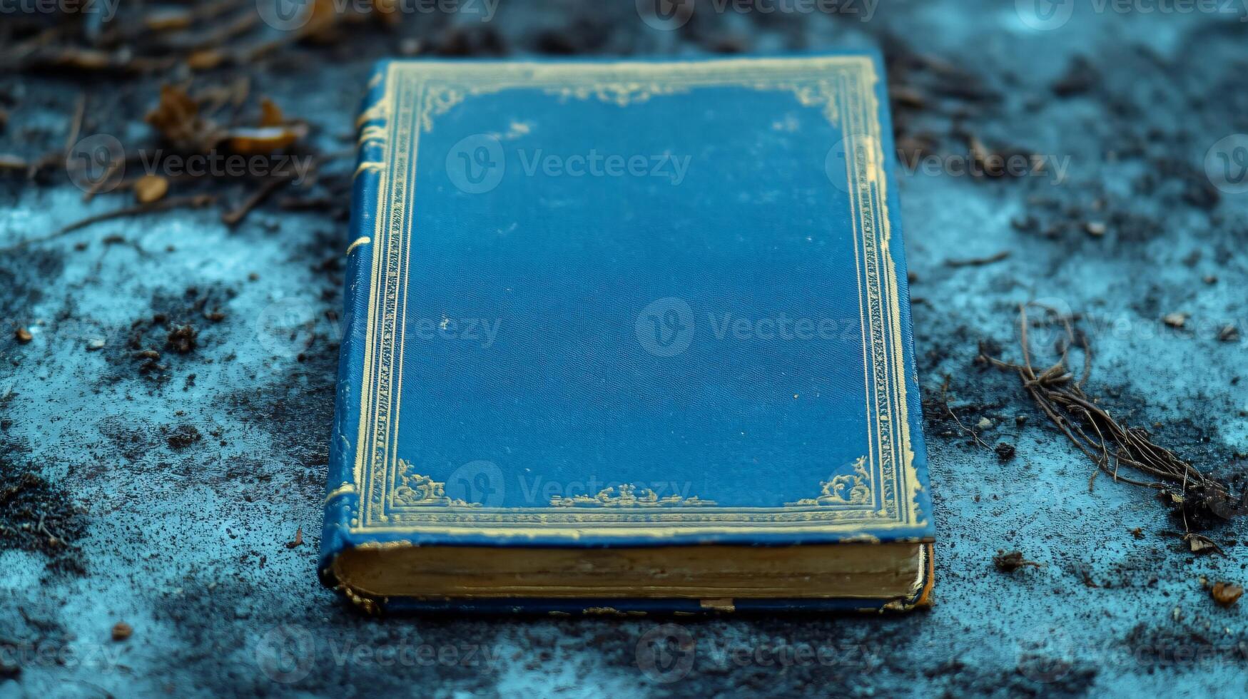 Elegant Blue Book with Gold Border on Ground photo