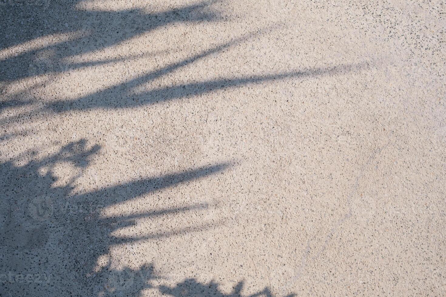 Leaves Shadow on Concrete floor background, abstract floral backdrop photo