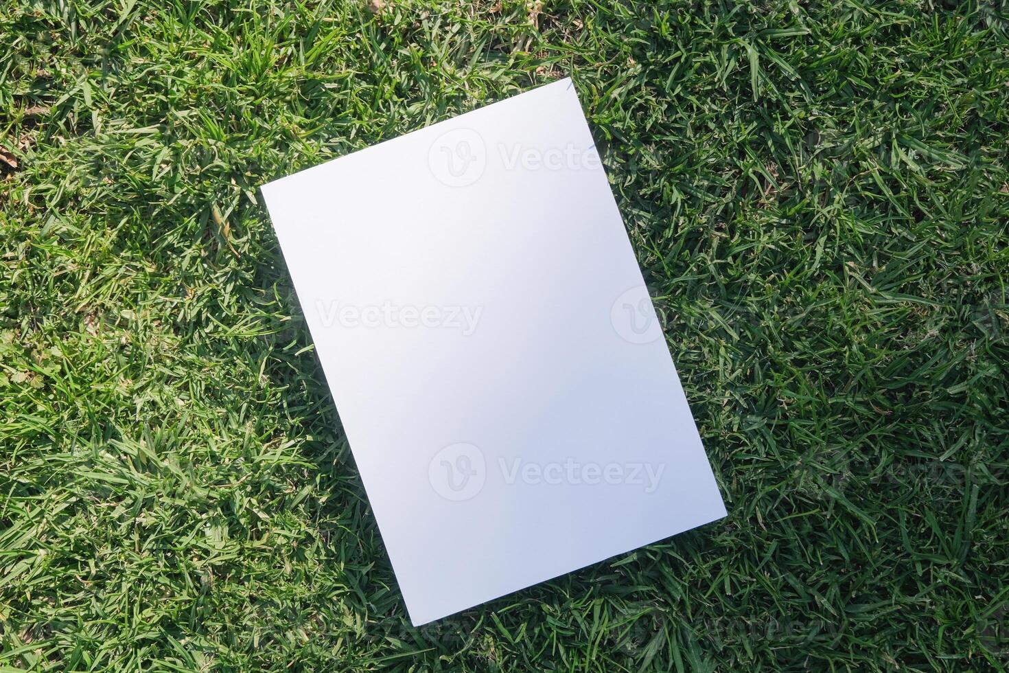 Mockup a4 blank poster on green grass background photo