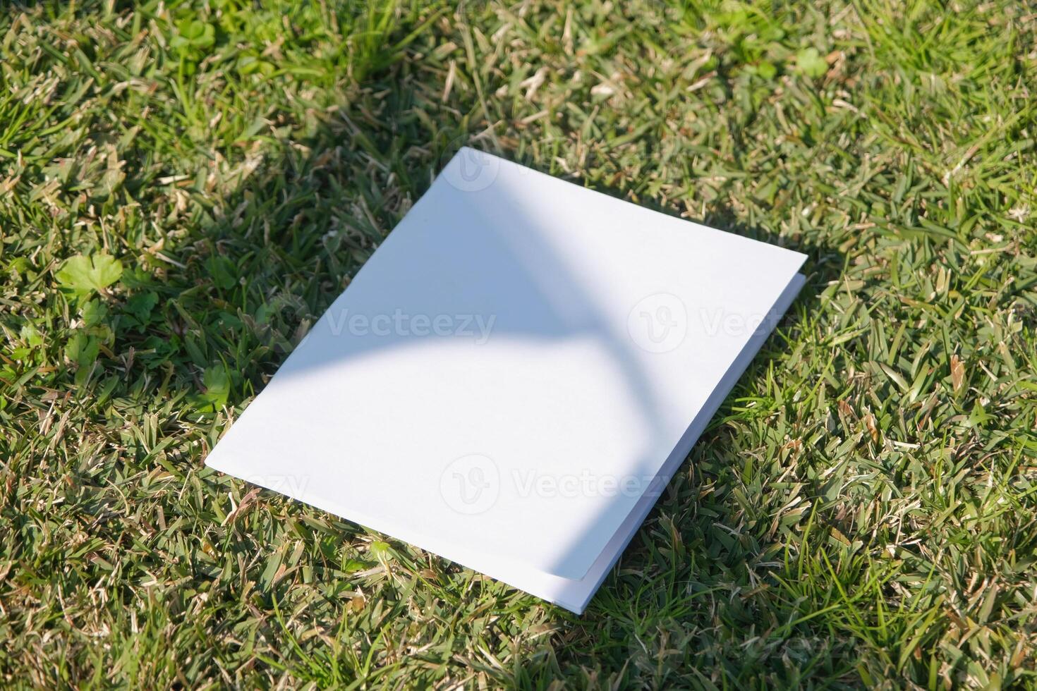 Mockup magazine on green grass background flags shadow photo
