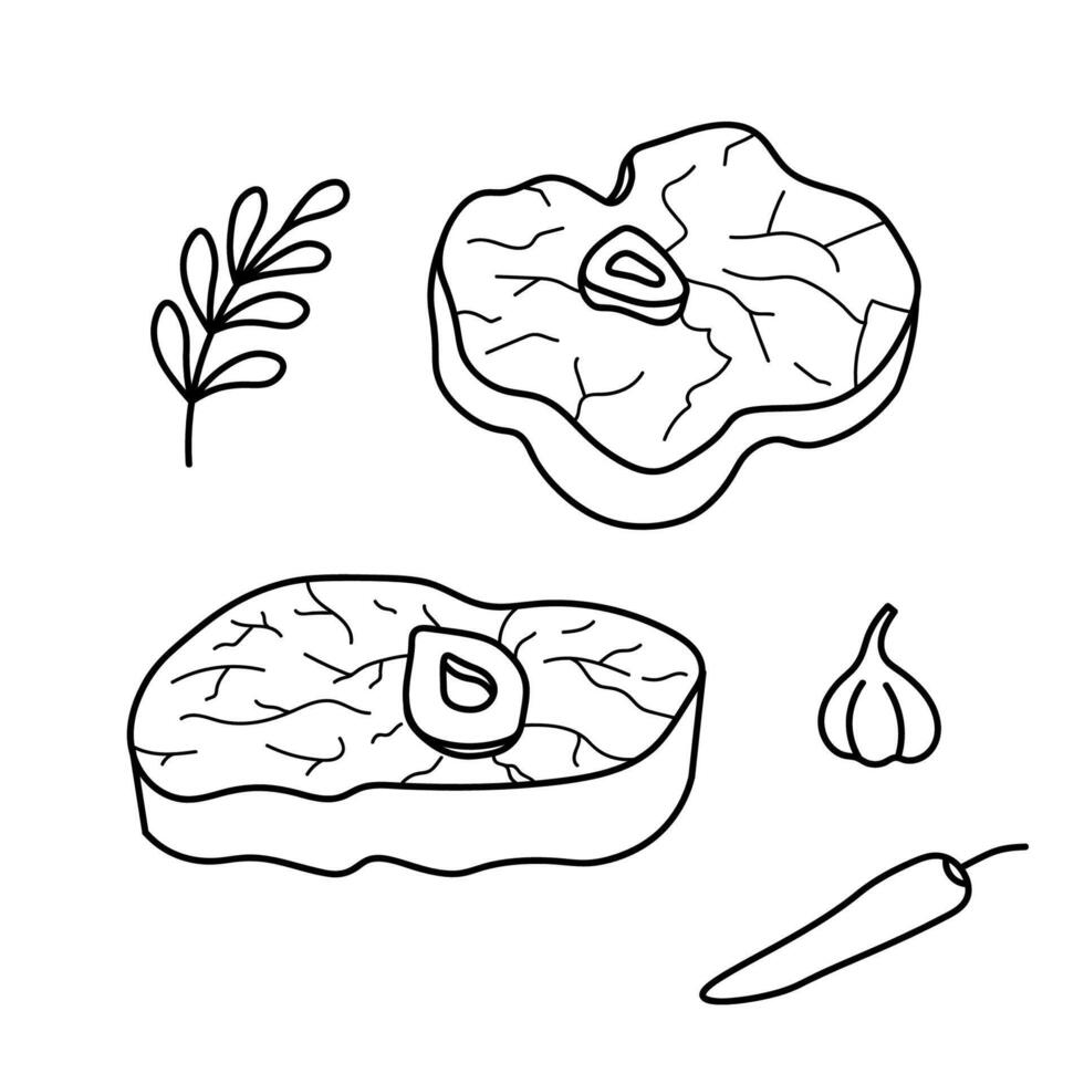 Sketch Osso Buco meat on isolated background. Hand drawn Italian beef shank Ossobuco, semi finished butchery product. Graphic with Milan cuisine ingredient, food. Illustration for menu, sign vector