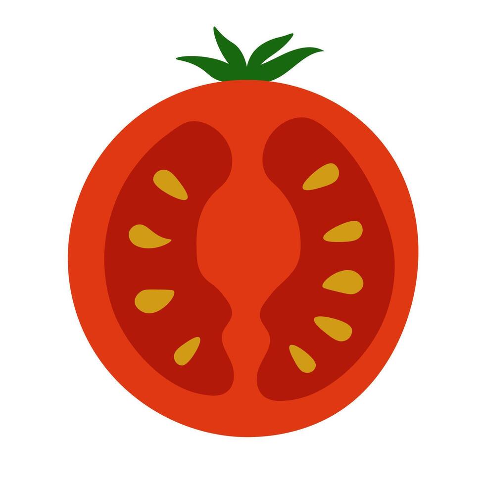Half Tomato illustration on isolated background. Cherry Tomatoes red ripe Vegetable, food. Pomodoro sign. Hand Drawn design element in flat style for label, logo, paper, packing, wrapping vector