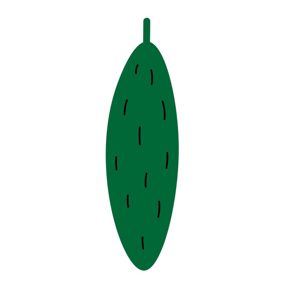 Cucumber flat illustration on isolated background. Food, harvest, twist. Hand drawn green vegetable plant for sign, logo, label, wrapping, card, sticker. Design element in simple style vector