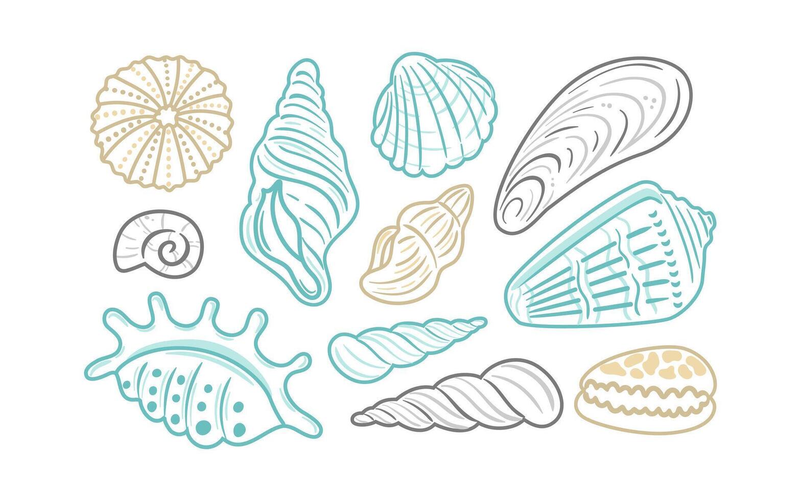 set of outlined illustrations featuring various shell designs. These intricate contours highlight the beauty of marine life, making them ideal for beach-themed projects, packaging, or decorations. vector