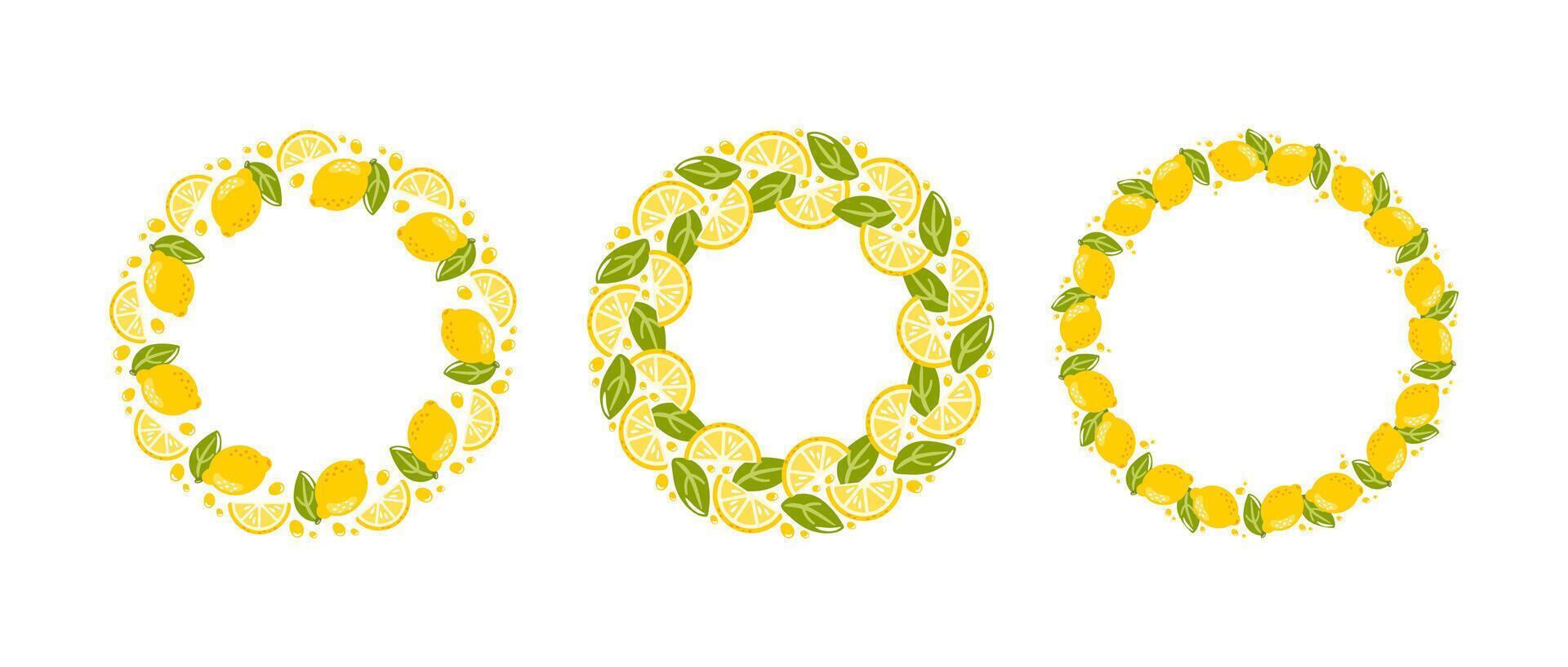 A set of round frames made of lemons, slices and green leaves. The vibrant design captures the essence of freshness and citrus charm, perfect for summer-themed projects vector