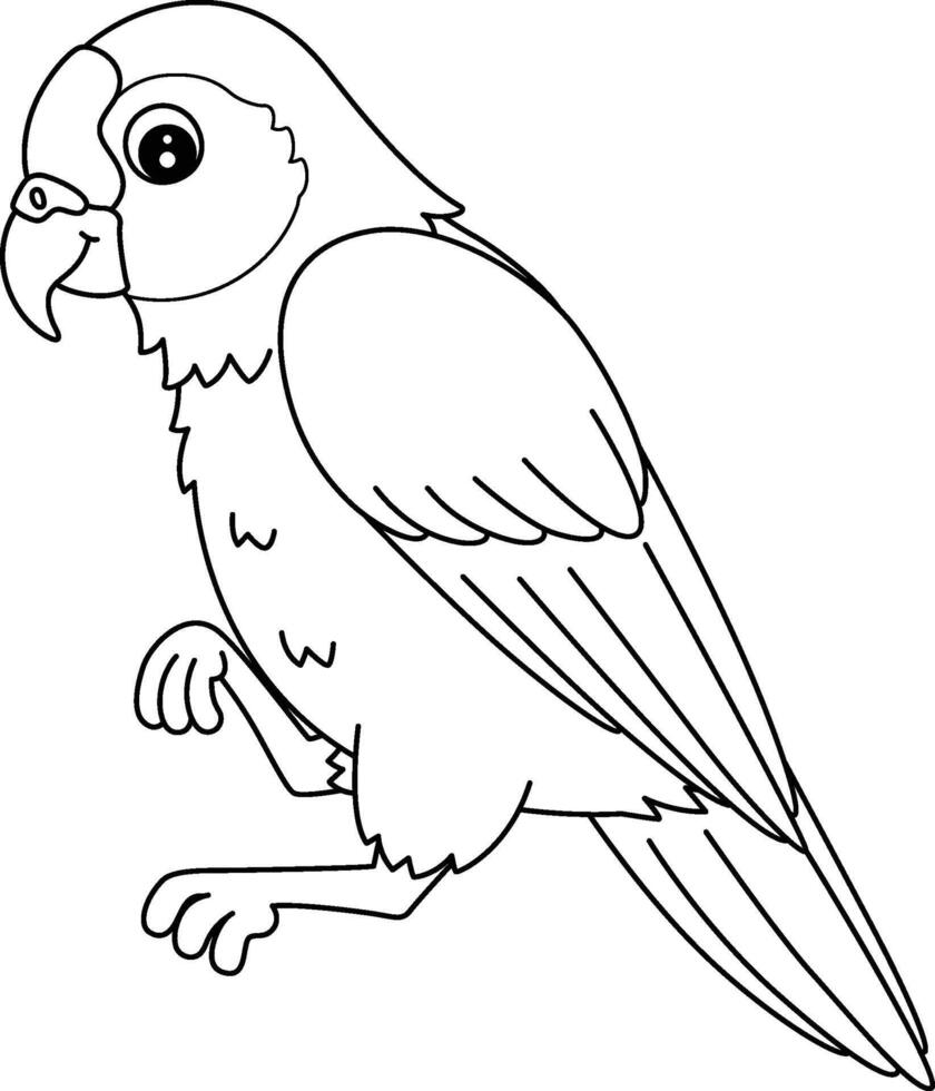 Bird Amazon Parrot Isolated Coloring Page for Kids vector