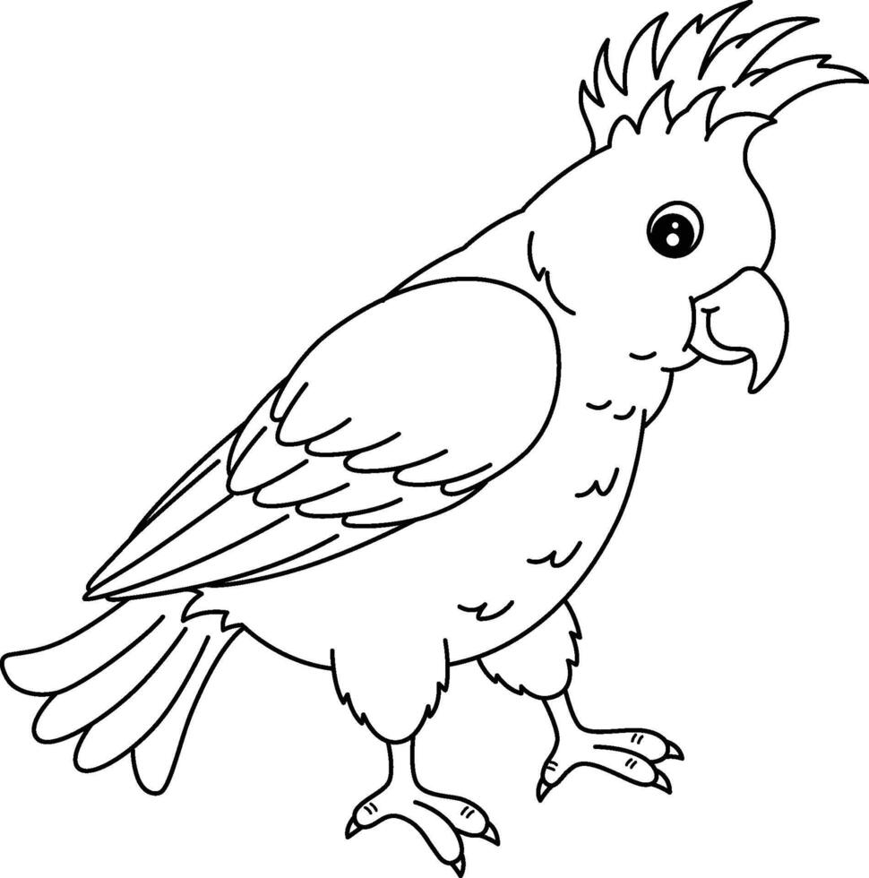 Bird Cockatoo Isolated Coloring Page for Kids vector