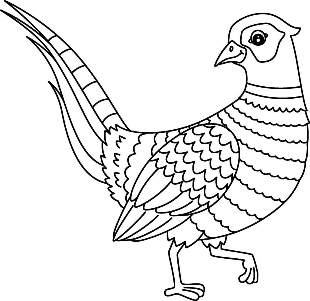 Bird Common Pheasant Isolated Coloring Page vector
