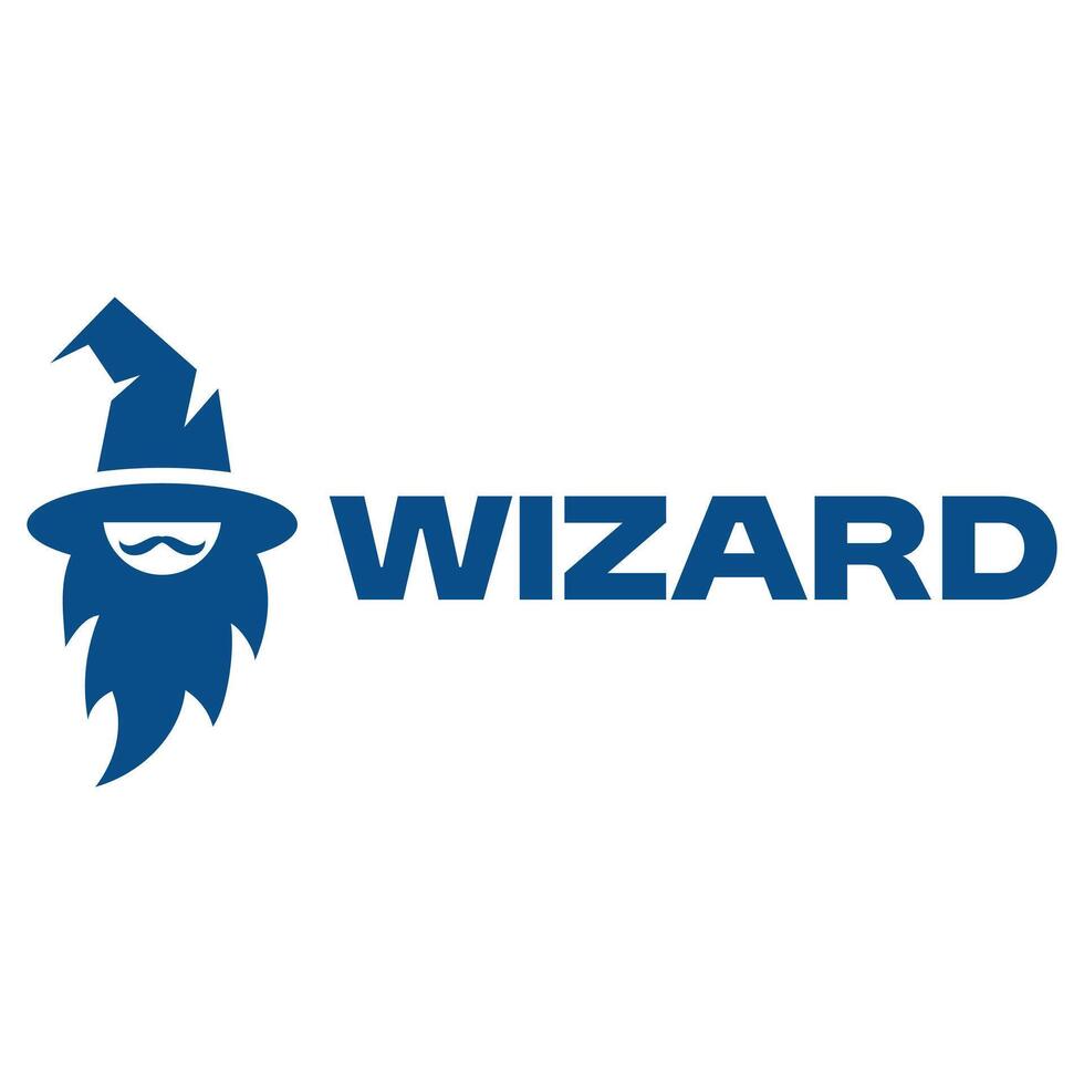 wizard isolated on white background vector