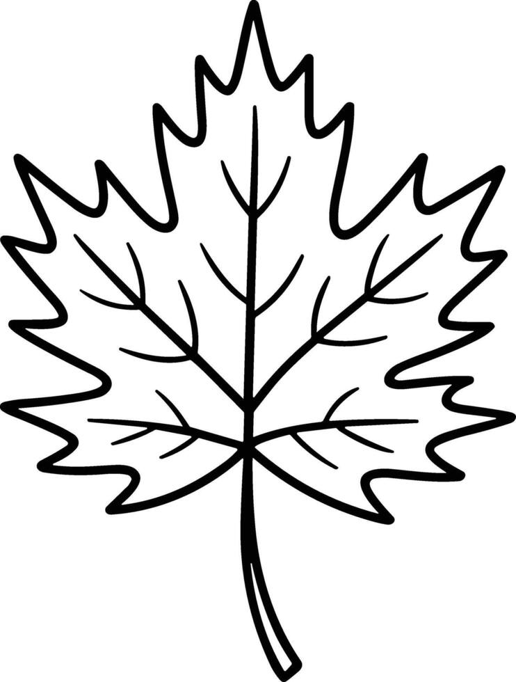 Maple Leaf Line Art Illustration for Thanksgiving and Fall Season vector