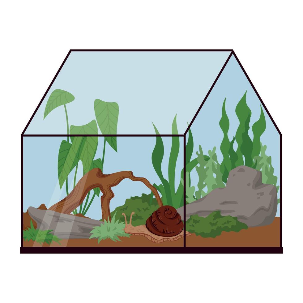 Terrarium for Snail with Rocks, Wood, Plants and Soil Isolated on White. Achatina Aquarium Habitat Setup for Exotic Pet Care. Vivarium Illustration for Nature Lovers vector