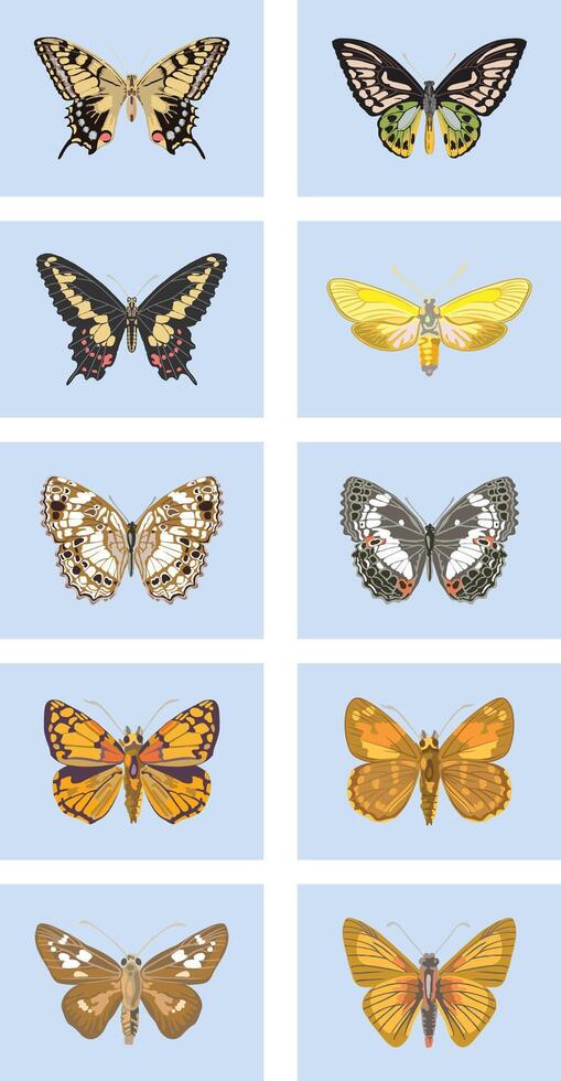 Realistic butterflies set vector