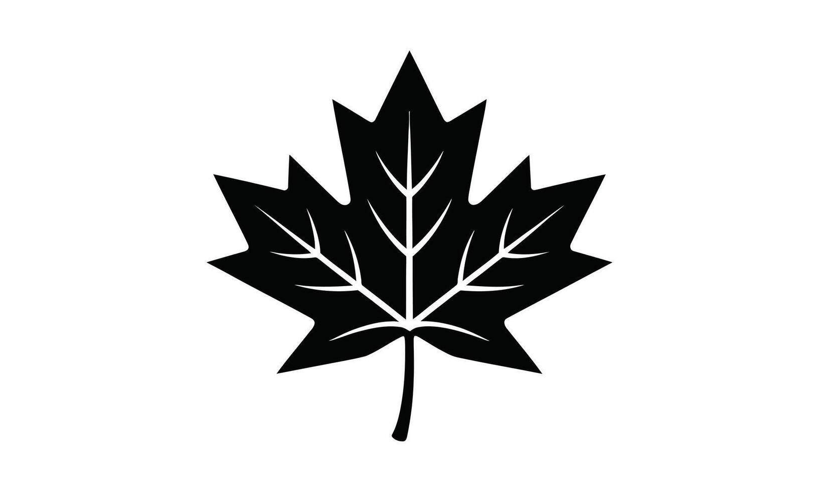 Isolated black maple leaf silhouette symbolizing nature and canadian culture on white background vector